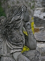 Aniołek przy bramie katedralnej. Fot. Piotr Jargusz
