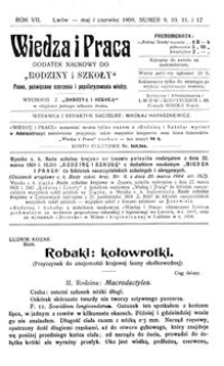 Wiedza i Praca : dodatek naukowy do Rodziny i Szkoły : pismo poświęcone szerzeniu i popularyzowaniu wiedzy. R. 7, Nr 9-12